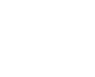 MSV